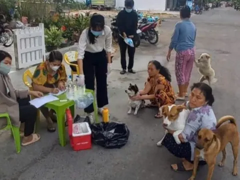 Chó dại vào chợ cắn 3 người rồi chết, ngành y tế khẩn tìm người từng tiếp xúc