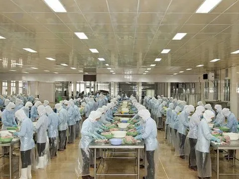 Tập đoàn PAN nhận hàng chục tỷ đồng cổ tức từ Thủy sản Bến Tre