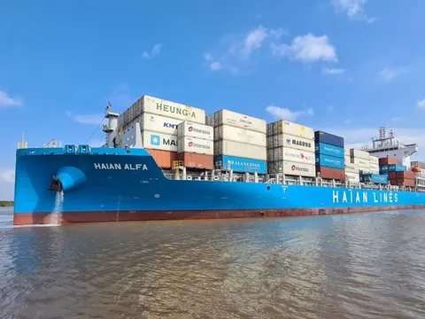 Vận tải và Xếp dỡ Hải An đặt mục tiêu doanh thu 2025 cao kỷ lục