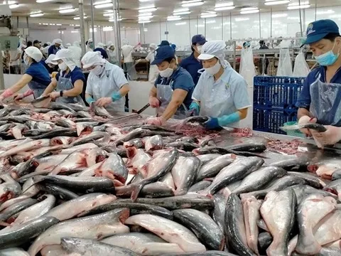 Doanh thu giảm, xuất khẩu của Vĩnh Hoàn vẫn khởi sắc tại Mỹ và châu Âu