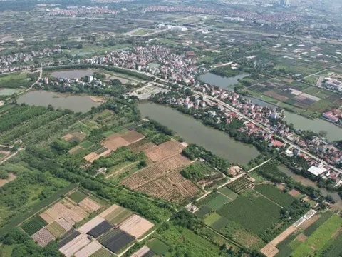 Bản tin 24/2: Thông tin mới nhất Hà Nội đấu giá 15 lô đất huyện Mê Linh, giá khởi điểm 5,6 triệu đồng/m2