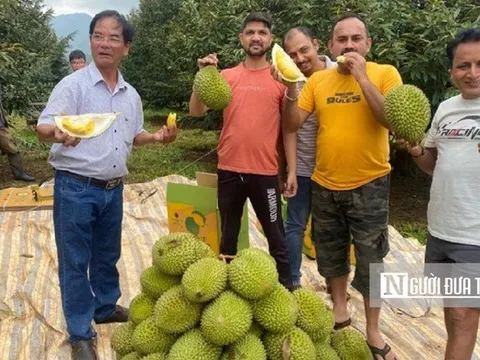 Người nông dân Tây Nguyên đổi đời nhờ nông nghiệp