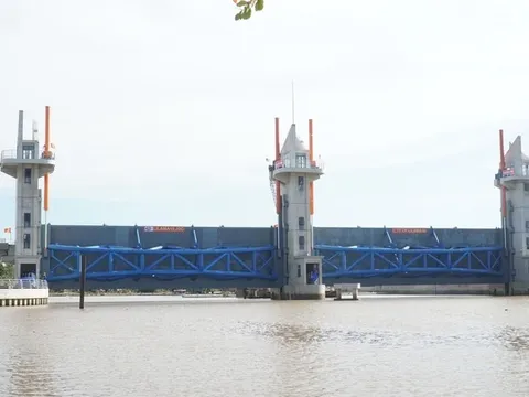 Xây dựng phương án giải quyết tổng thể vấn đề hạn mặn vùng ĐBSCL