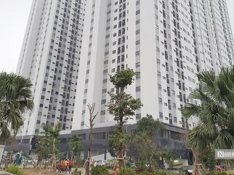 Hải Phòng điều chỉnh tăng giá thuê nhà chung cư thuộc tài sản công