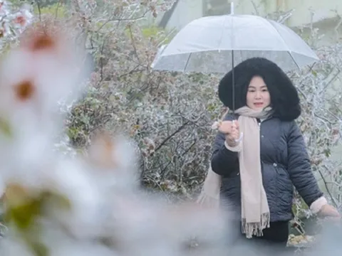 Miền Bắc sắp đón "tin vui" thời tiết sau chuỗi ngày nồm ẩm, không khí lạnh "nối đuôi"