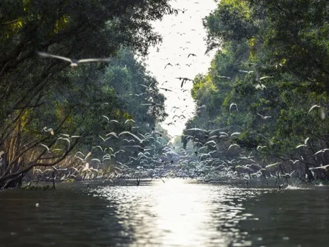 Đề xuất chi trả dịch vụ hệ sinh thái đất ngập nước tại Vườn quốc gia Tràm Chim