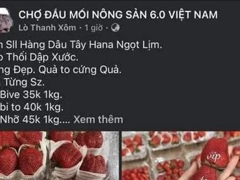 Tìm bị hại trong vụ “chủ vựa hoa quả” lừa tiền cọc