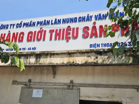 Băn khoăn minh bạch quản trị tại Phân lân Văn Điển