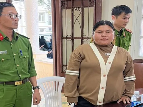 Bắt đối tượng giở thủ đoạn góp vốn kinh doanh gạo, chiếm đoạt 35 tỷ đồng