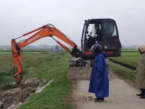 Dịch tả lợn Châu Phi gây thiệt hại nặng cho nhiều hộ nuôi