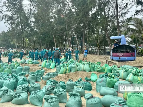 Bờ biển sạt lở, Quảng Ngãi huy động 350 người "vá" bờ kè