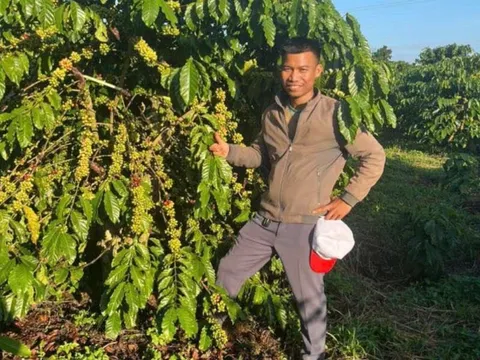 Bước đi táo bạo của thầy giáo làng mang khát vọng nâng tầm cà phê Tây Nguyên