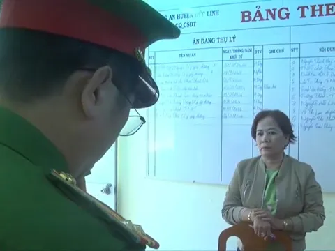 Bình Thuận: Xúc phạm Chủ tịch huyện, thẩm phán trên mạng xã hội, một phụ nữ bị bắt