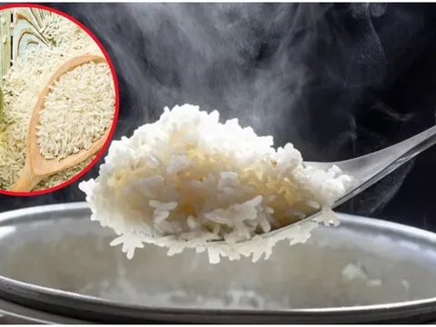 Đừng nấu cơm như cũ nữa, thêm thứ này vào ngon dẻo chuẩn nhà hàng