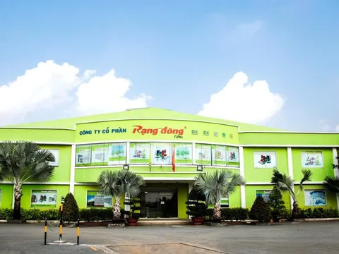Rạng Đông Holding: "Ve sầu thoát xác" hay màn tháo chạy của dàn lãnh đạo?
