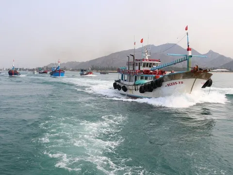 Gỡ 'thẻ vàng' EC: Hành động thay vì đối phó