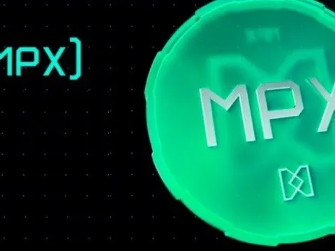 Triệt phá ổ nhóm lừa đảo tiền ảo MPX chiếm đoạt hơn 2.000 tỷ đồng