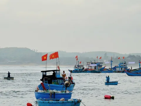 Quảng Ngãi tập trung cao điểm chống khai thác IUU