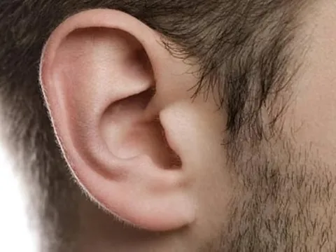 Người đàn ông bị bắt vì cắt đứt tai bạn