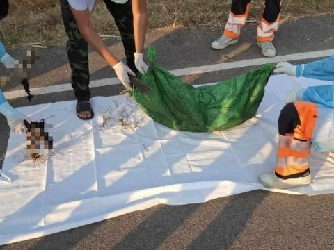 Mở bao tải bị bỏ lại bên đường, người dân "tái mặt" khi phát hiện điều đáng sợ