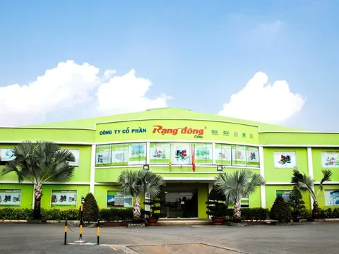 Rạng Đông Holding tạm ngừng hoạt động, nhân sự nghỉ việc hàng loạt