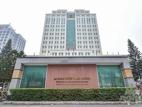 Bộ Nông nghiệp và Môi trường có 30 đơn vị đầu mối