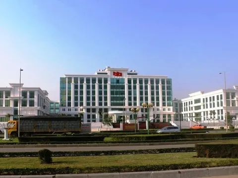 Vụ bắt 7 đối tượng thu tiền "bảo kê" bán đào Tết: Tp.Thanh Hóa phản hồi CQĐT