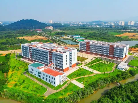 Những lĩnh vực trọng điểm tập trung đào tạo đến năm 2030