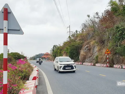 Tạo điểm nhấn thu hút khách du lịch đến Cát Bà
