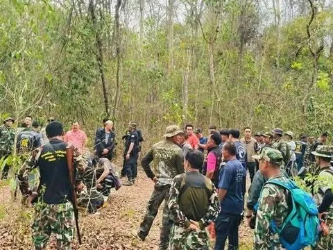 Đi vào rừng, người đàn ông bị voi dữ tấn công tử vong