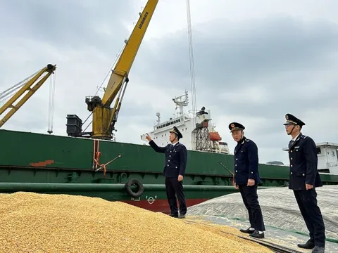 Từ 1/3, ngành Hải quan hoạt động theo mô hình 3 cấp