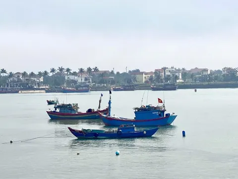 Quảng Bình: Tập trung thực hiện chống khai thác IUU