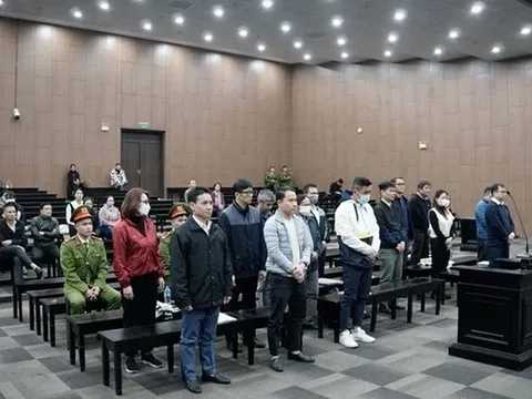 Vụ chuyến bay giải cứu giai đoạn 2: 3 cựu Phó Giám đốc Sở xin giảm nhẹ hình phạt