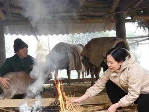 Ứng phó với rét đậm, rét hại và gió mạnh trên biển