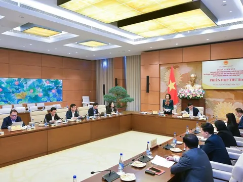 Giám sát việc thực hiện chính sách về phát triển và sử dụng nguồn nhân lực