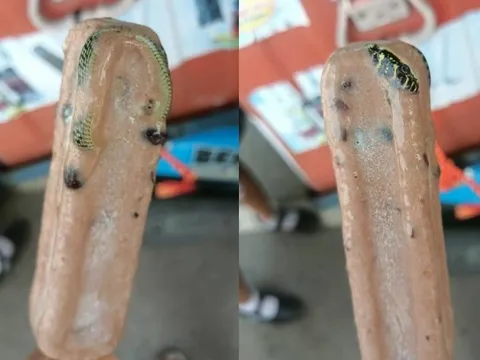Đang ăn kem, người đàn ông sốc nặng khi nhìn thấy thứ đáng sợ