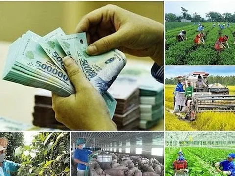 Khẩn trương hoàn thành phân bổ vốn các chương trình mục tiêu quốc gia trước 31/3/2025