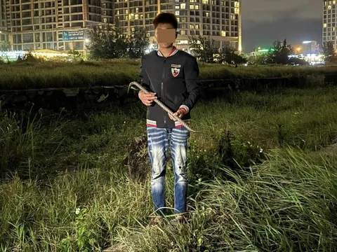 Bắt 2 thiếu niên đột nhập hàng chục cửa hàng