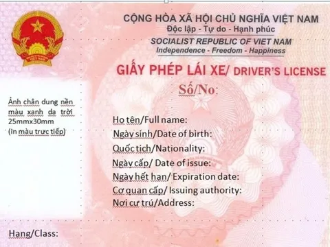 Hướng dẫn nộp "phạt nguội" và tham gia giao thông khi đang trong thời gian chờ cấp, đổi giấy phép lái xe