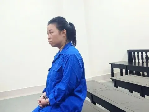 Nữ luật sư nhận mức án 14 năm tù về tội lừa đảo chiếm đoạt tài sản