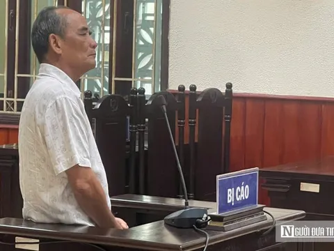 Bình Định:Cựu bí thư huyện lãnh án 3 năm tù vì sai phạm liên quan tới giao đất rừng
