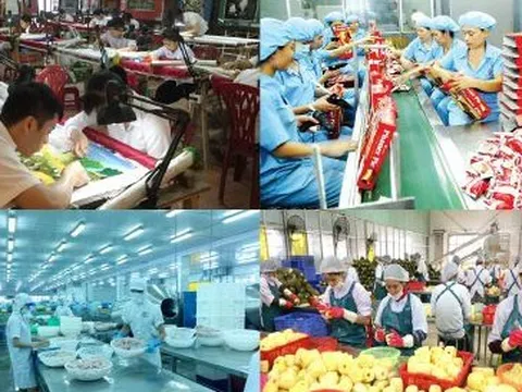 Thành lập Ban Chỉ đạo xây dựng Đề án Phát triển kinh tế tư nhân
