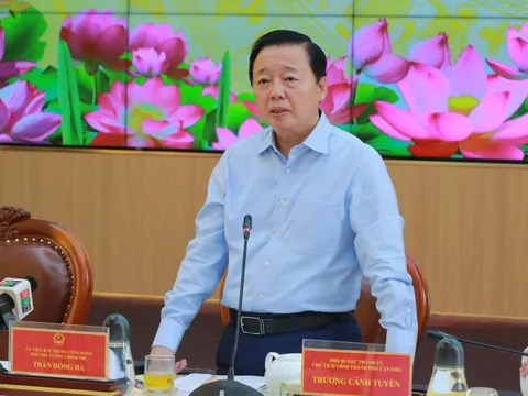 Phó Thủ tướng Trần Hồng Hà: Đánh giá đúng thực trạng tình hình thị trường lúa gạo
