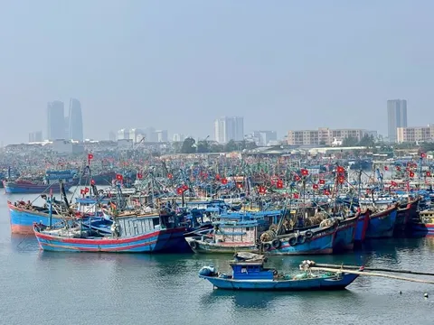 Đà Nẵng cơ bản khắc phục các tồn tại trong chống khai thác IUU