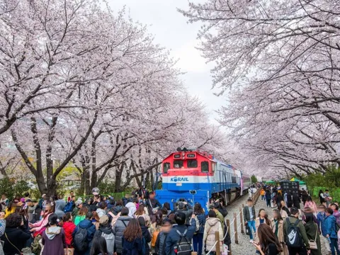 Bứt phá trao đổi du lịch hai chiều Việt Nam-Hàn Quốc