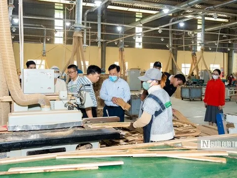Ngành gỗ Việt Nam phải hình thành chuỗi giá trị bền vững