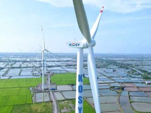 Loạt doanh nghiệp bị xử phạt thuế