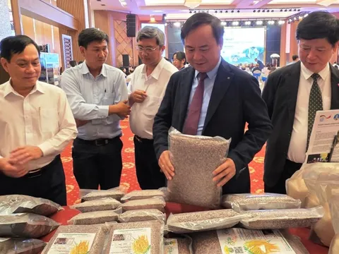 Đổi mới sáng tạo xanh: Nâng cao thu nhập từ chuỗi giá trị lúa gạo và xoài ở ĐBSCL