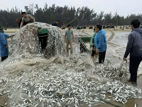 Thuyền chở 1,5 tấn cá trích bị sóng đánh lật úp khi vào gần bờ
