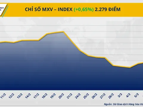 Lực mua chiếm ưu thế kéo MXV-Index ‘thoát’ khỏi đà suy yếu
